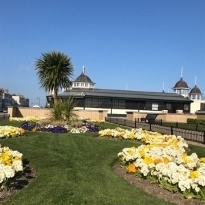 2019 03 HERNE BAY - Mars s' habille de jaune sur la Baie 1 - Catherine Francis-Yeats