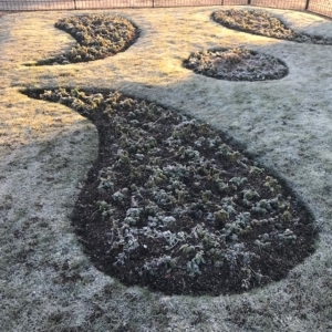 2019 01 Herne Bay par un matin glacial (2) - Catherine Francis Yeats