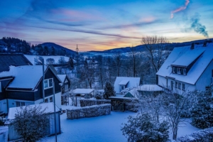 2019 01 La neige est là ! -  Hans Georg Bette