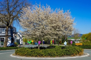 2019 04 C'est le Printemps à Schmallenberg (3)-  Hans Georg Bette