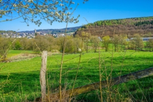 2019 04 C'est le Printemps à Schmallenberg (1)-  Hans Georg Bette