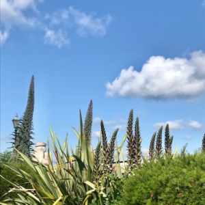 2019 05  HERNE BAY  - Catherine Francis-Yeats