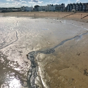 2019 05  HERNE BAY  - Catherine Francis-Yeats